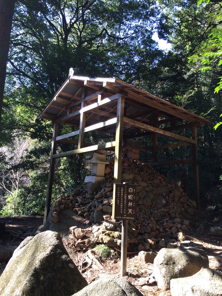 Photo 22-03-2014 14 53 45