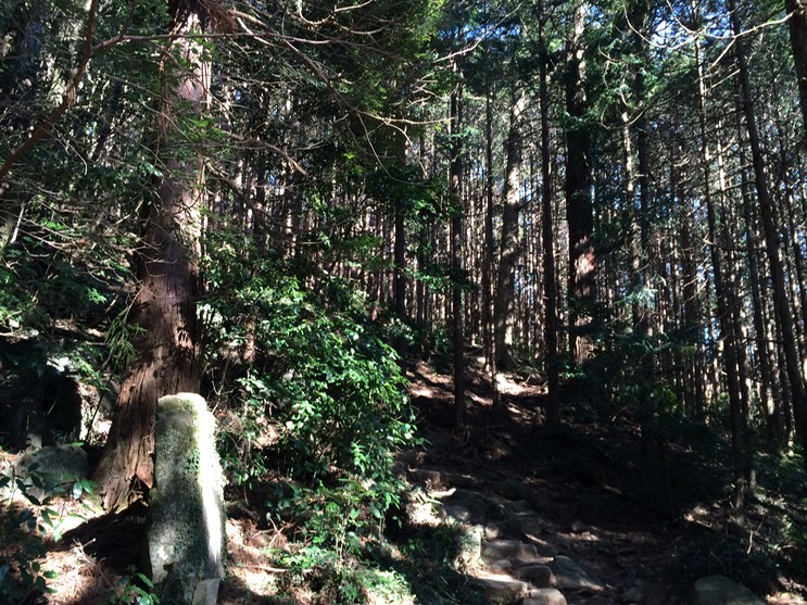 Photo 22-03-2014 14 54 06