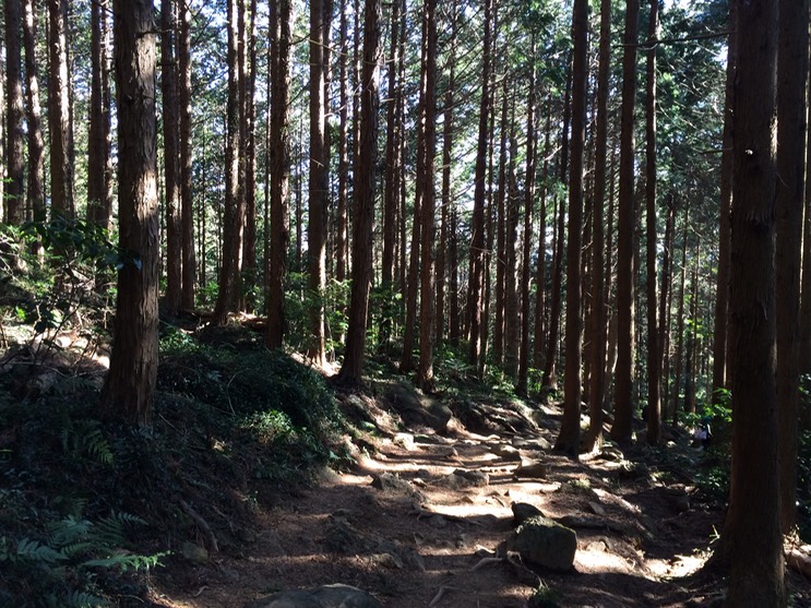 Photo 22-03-2014 14 55 24