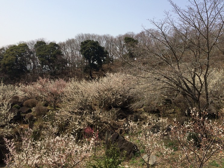 Photo 22-03-2015 12 40 19