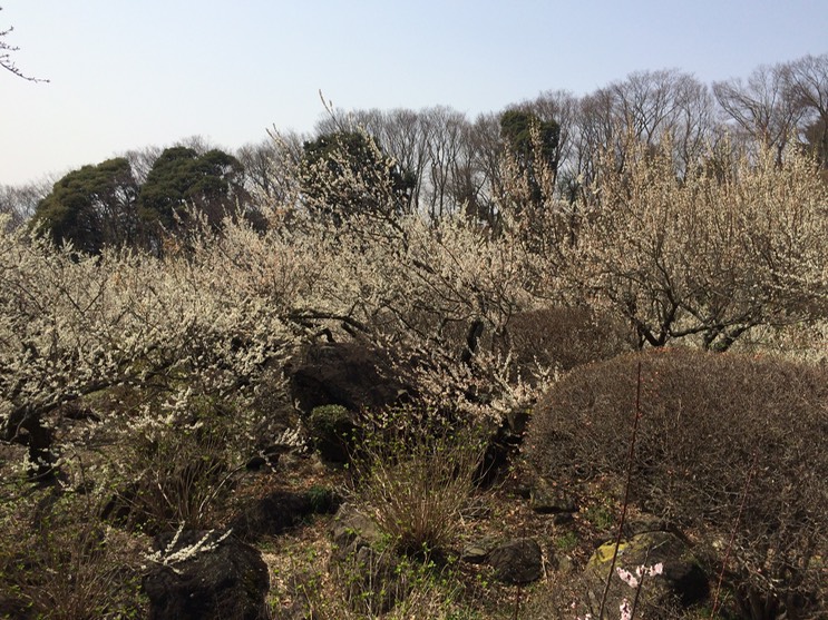 Photo 22-03-2015 12 40 40