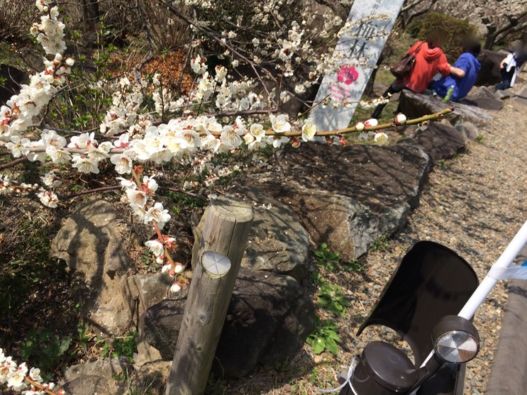 Photo 22-03-2015 12 40 54