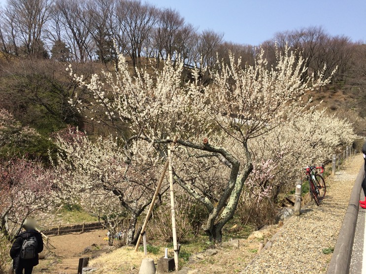 Photo 22-03-2015 12 41 34