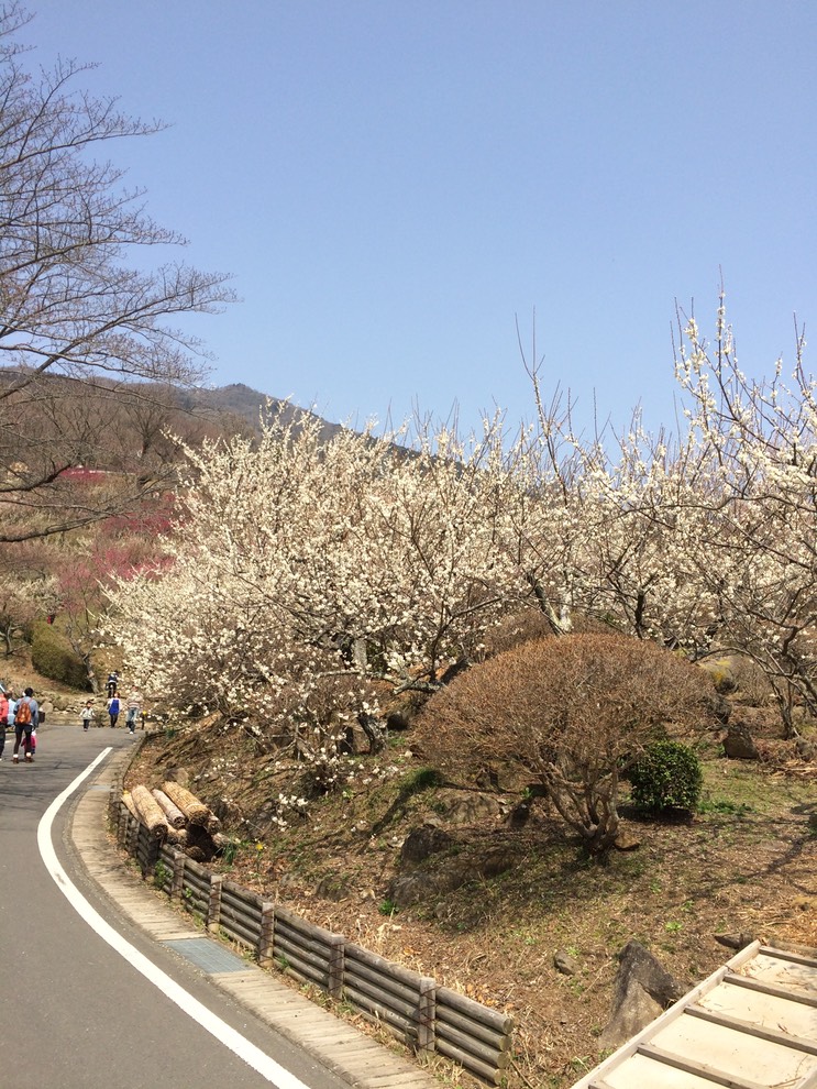 Photo 22-03-2015 12 41 57