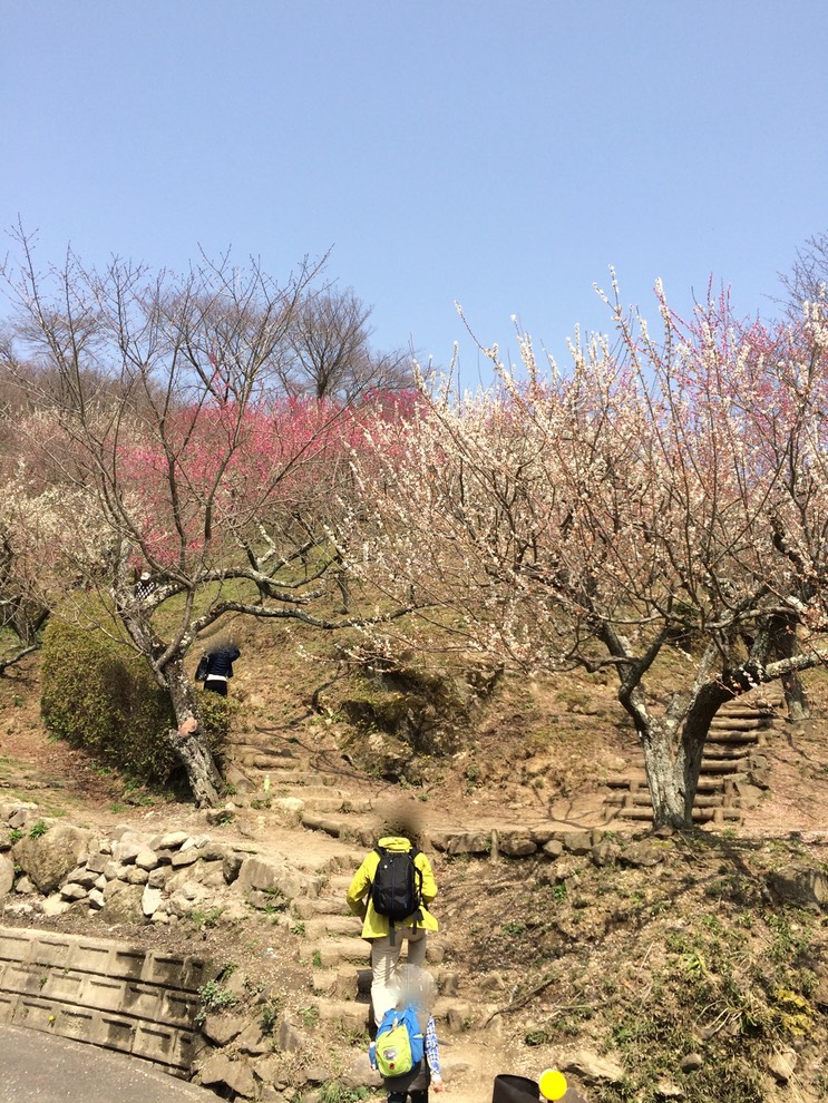 Photo 22-03-2015 12 42 33