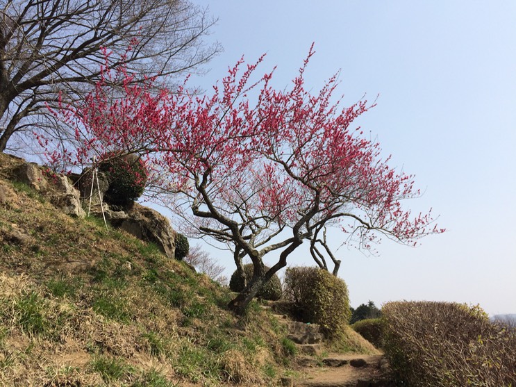 Photo 22-03-2015 12 44 12