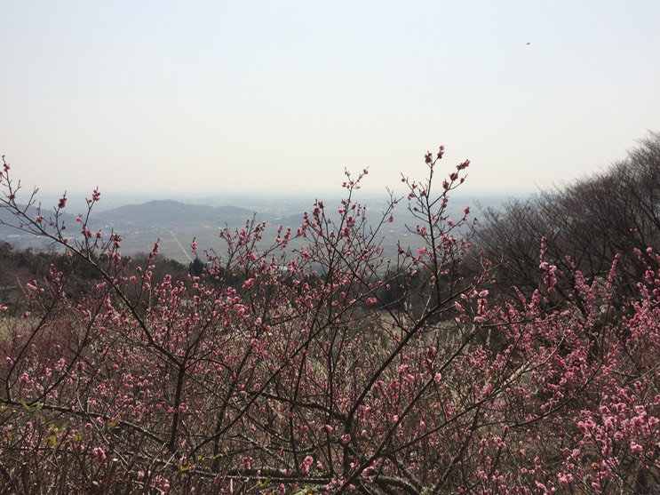 Photo 22-03-2015 12 44 20