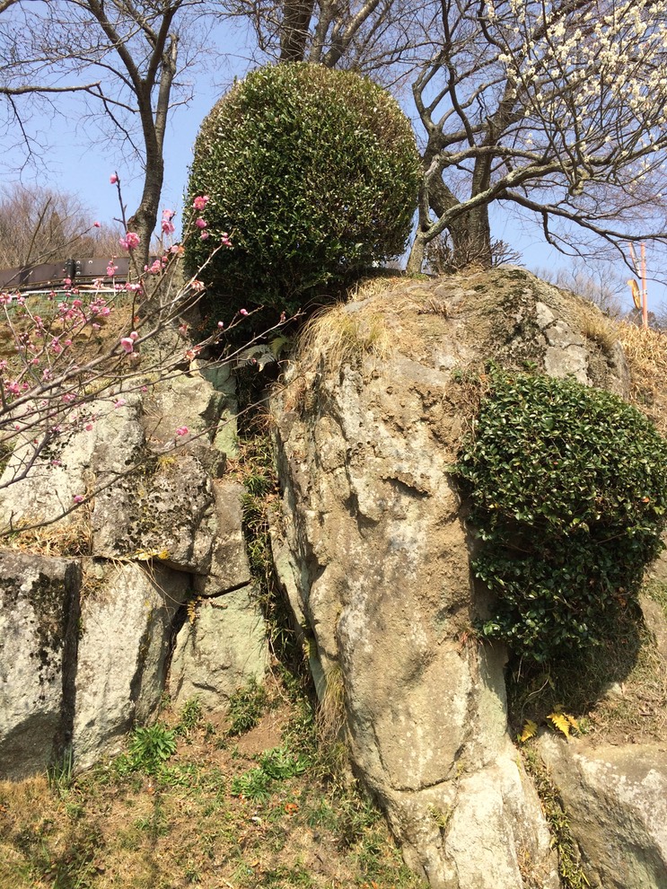 Photo 22-03-2015 12 45 21