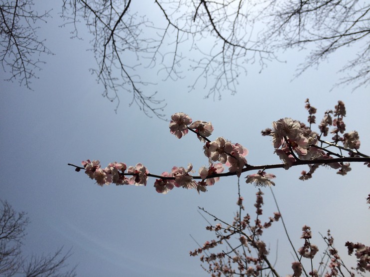 Photo 22-03-2015 12 49 25