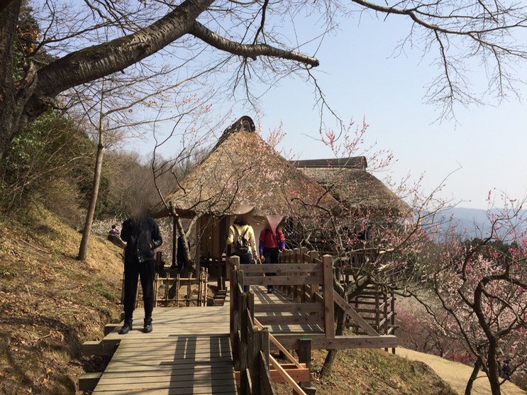 Photo 22-03-2015 12 49 47