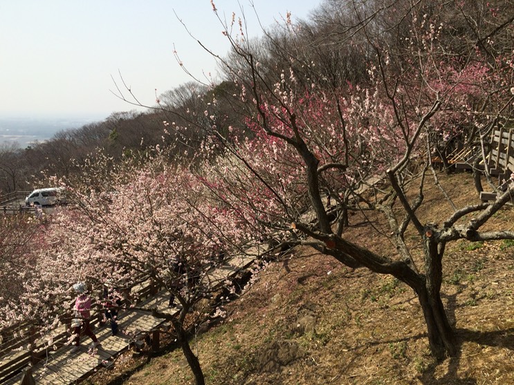 Photo 22-03-2015 12 50 13