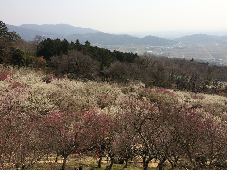 Photo 22-03-2015 12 50 27