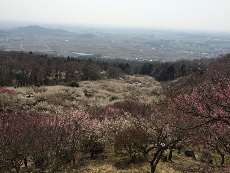 Photo 22-03-2015 12 50 51