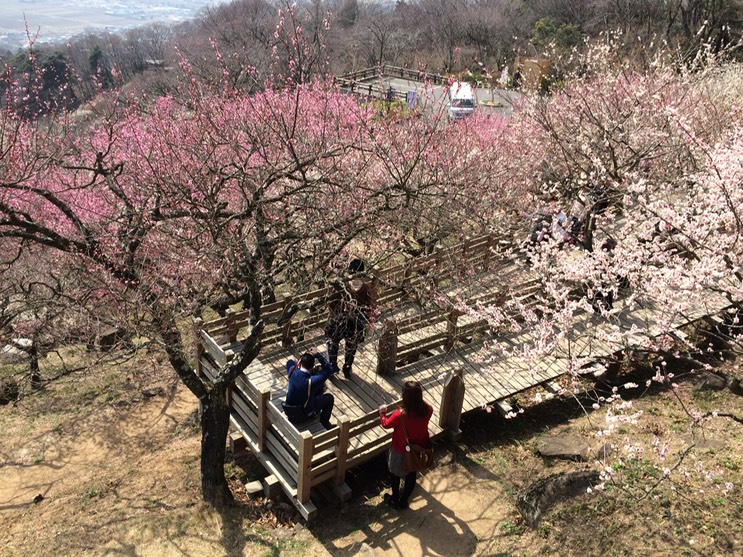 Photo 22-03-2015 12 51 36