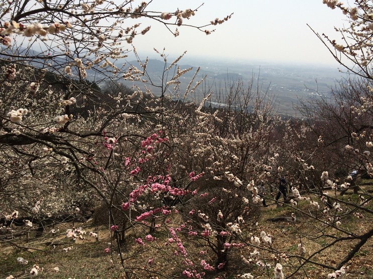 Photo 22-03-2015 12 52 47