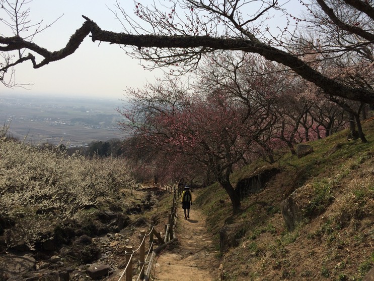 Photo 22-03-2015 12 55 29