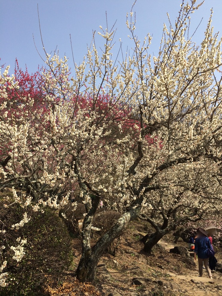 Photo 22-03-2015 12 58 09