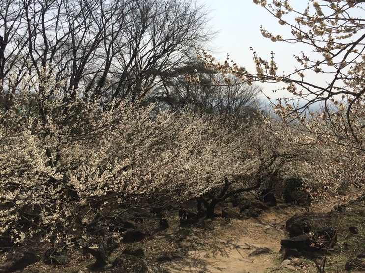 Photo 22-03-2015 12 59 41