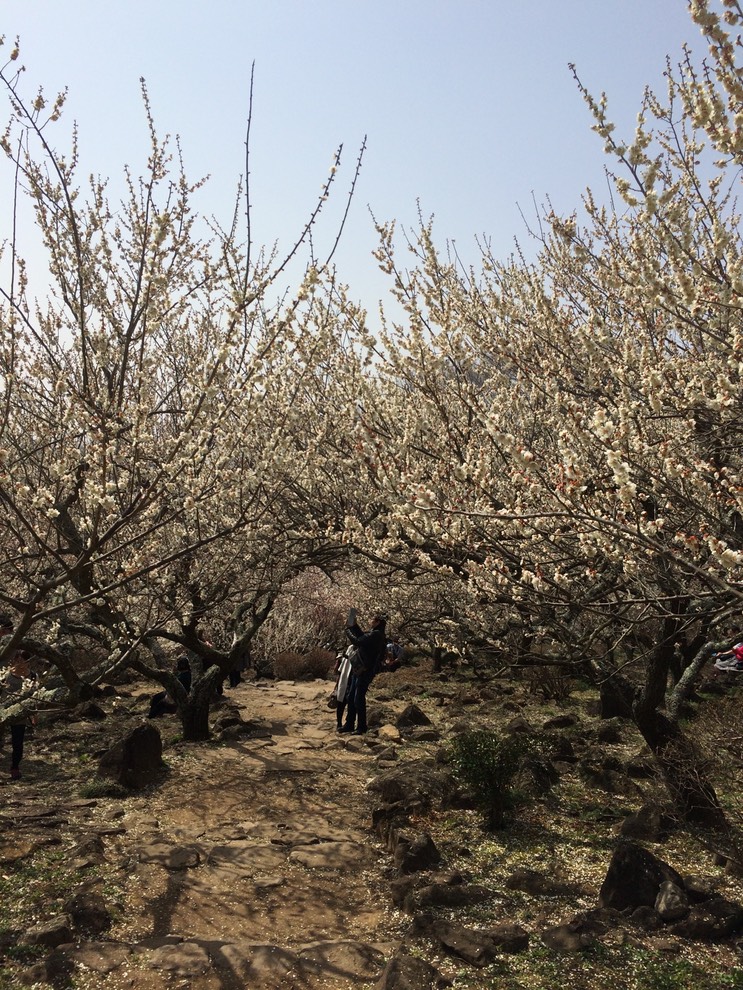 Photo 22-03-2015 13 01 02