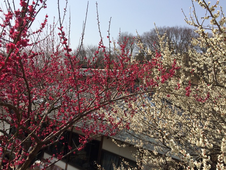 Photo 22-03-2015 13 04 03