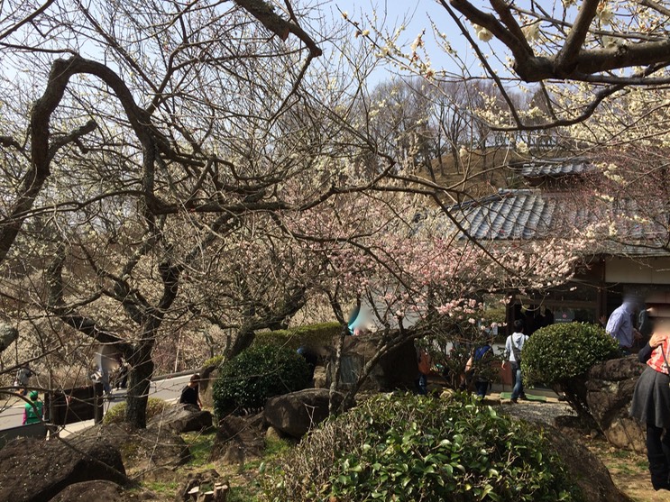 Photo 22-03-2015 13 04 44