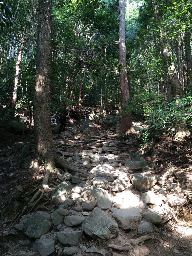 Photo 22-03-2015 13 39 24