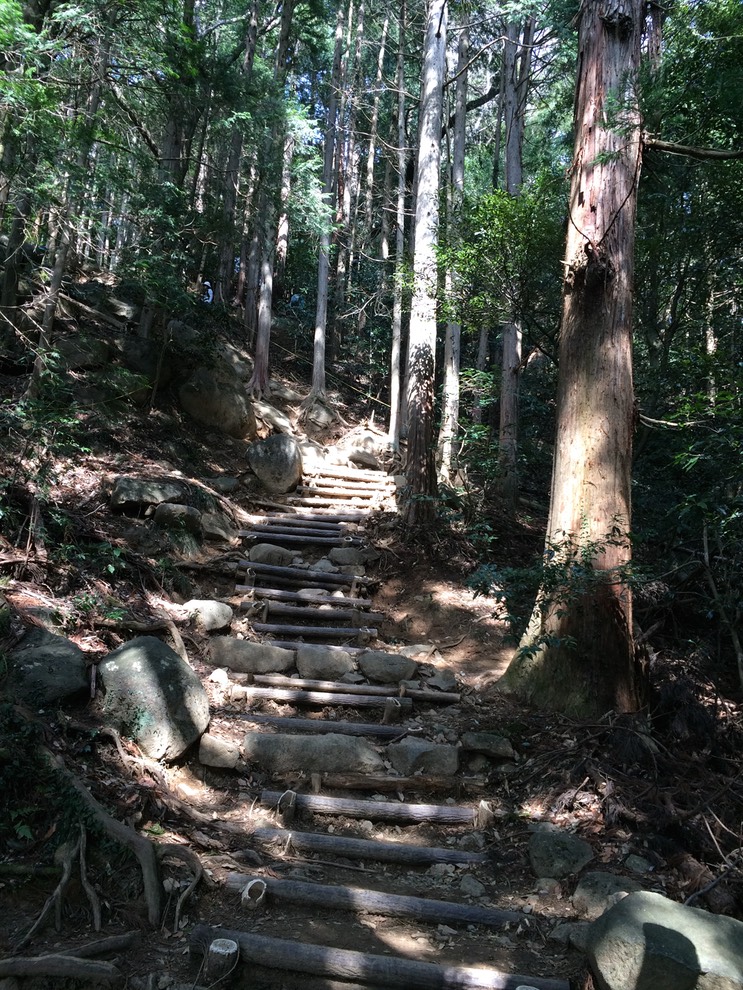 Photo 22-03-2015 13 43 12