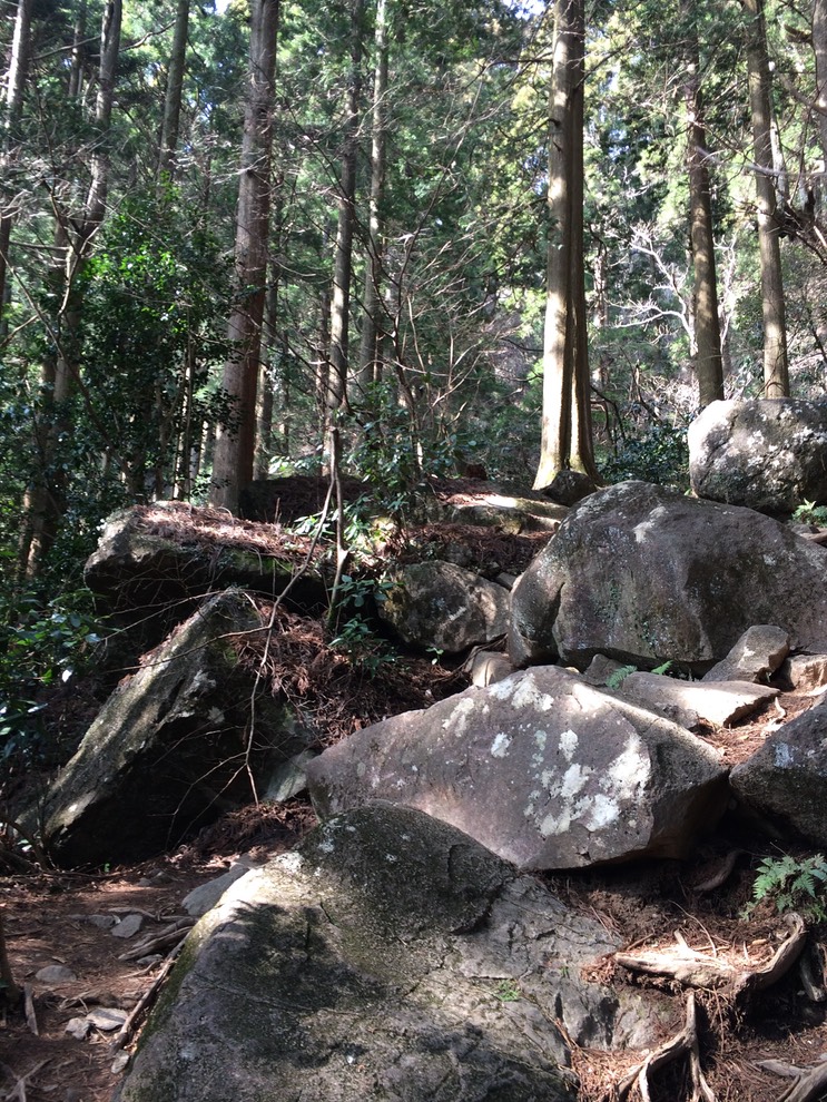 Photo 22-03-2015 14 00 45