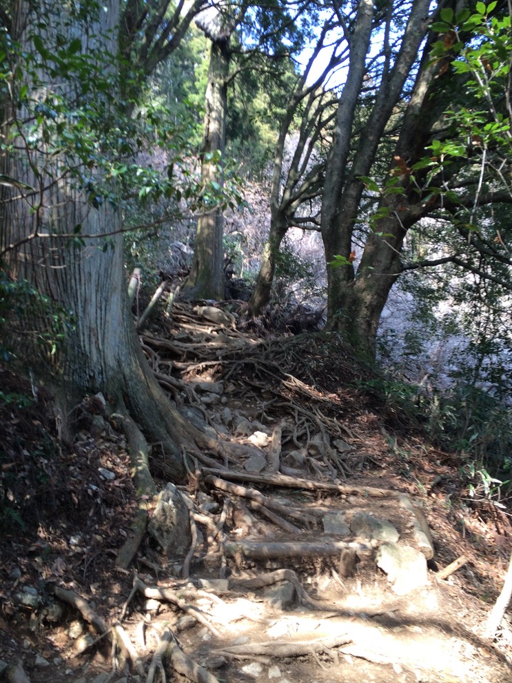 Photo 22-03-2015 14 09 41