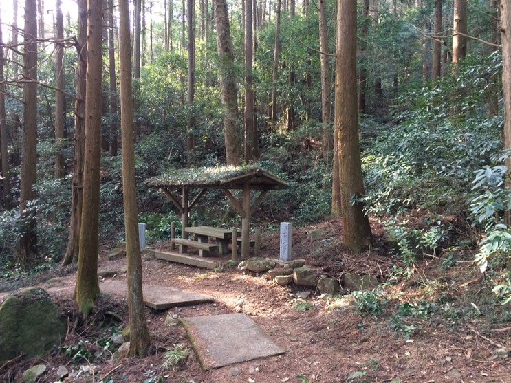 Photo 22-03-2015 15 30 08