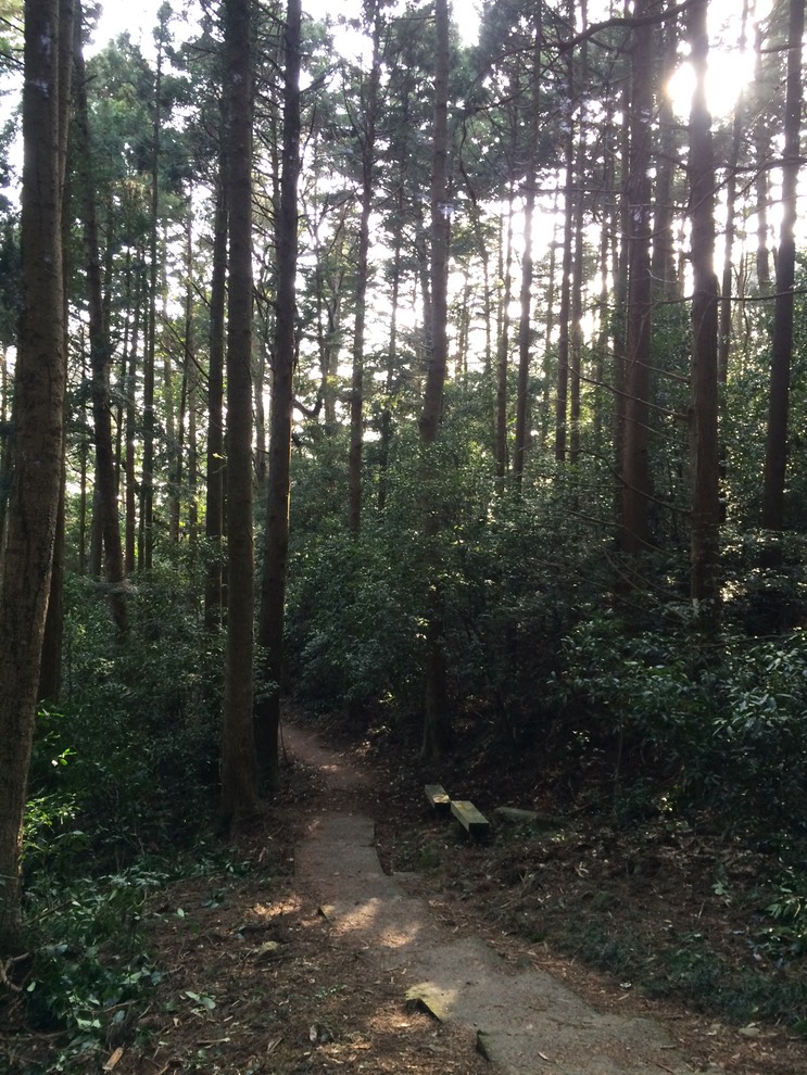 Photo 22-03-2015 15 30 21