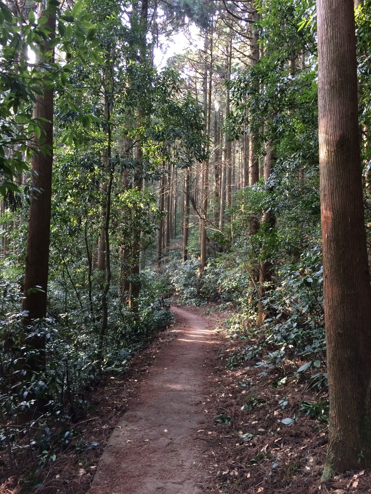 Photo 22-03-2015 15 32 41