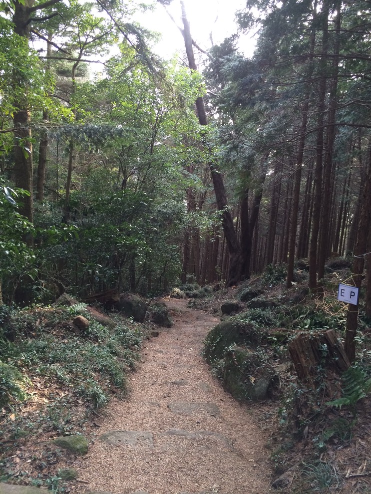 Photo 22-03-2015 15 41 08