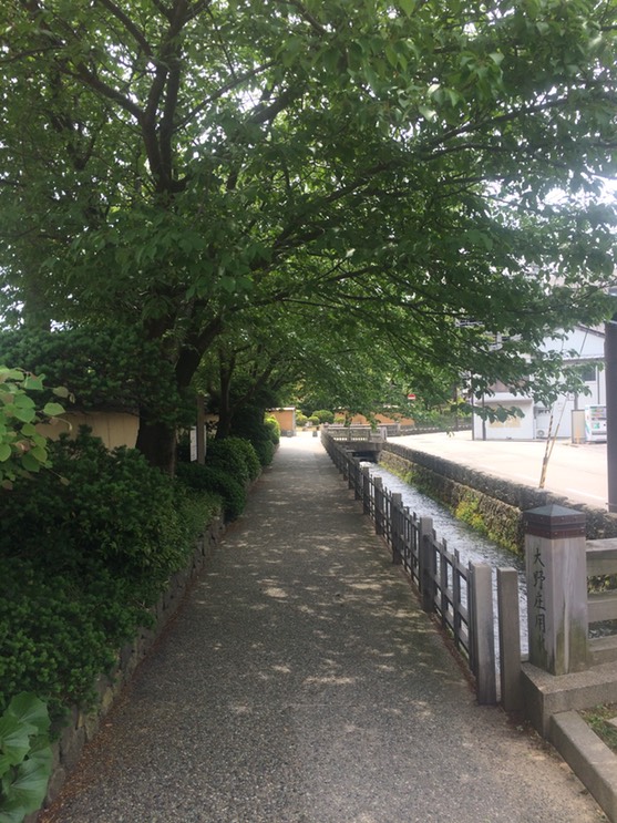 Photo 22-05-2015 10 57 08