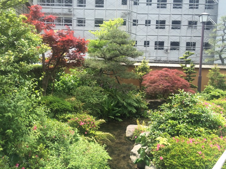 Photo 22-05-2015 10 59 08