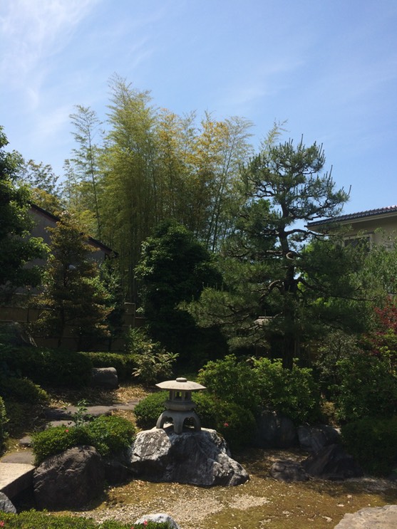 Photo 22-05-2015 13 14 17