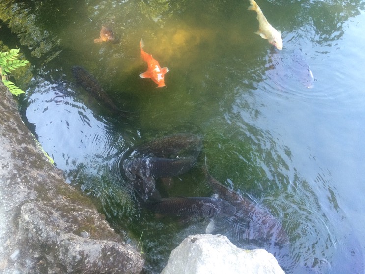 Photo 22-05-2015 16 28 24