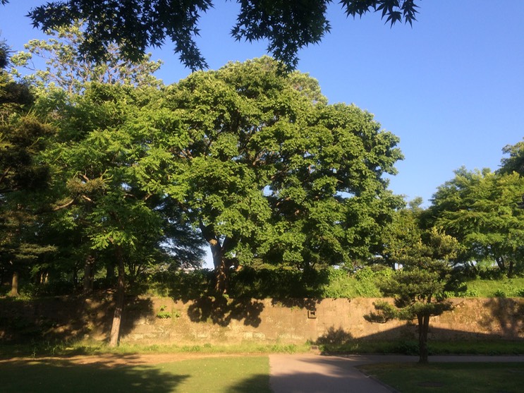 Photo 22-05-2015 17 02 51