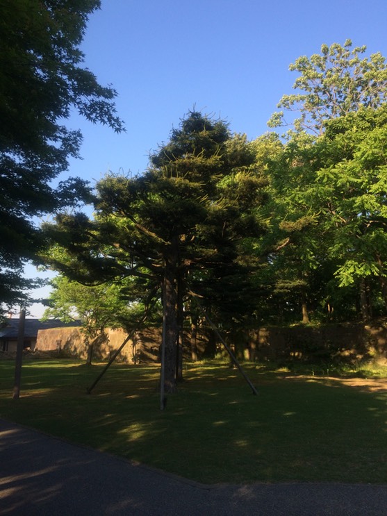 Photo 22-05-2015 17 02 58 (1)