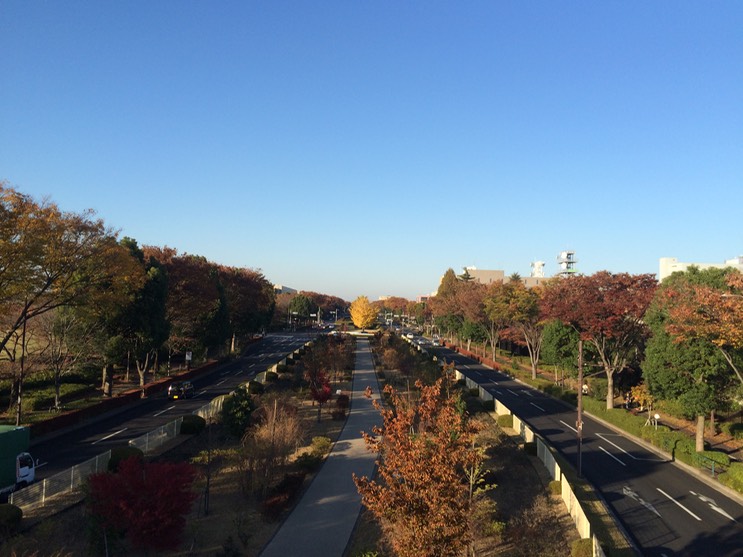 Photo 22-11-2014 15 03 02