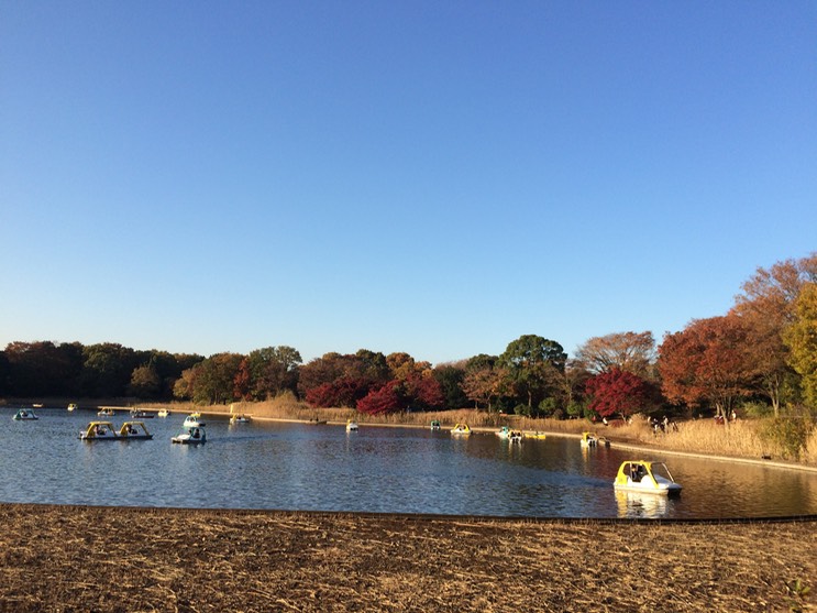 Photo 22-11-2014 15 20 26