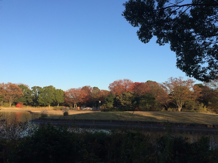 Photo 22-11-2014 15 24 16