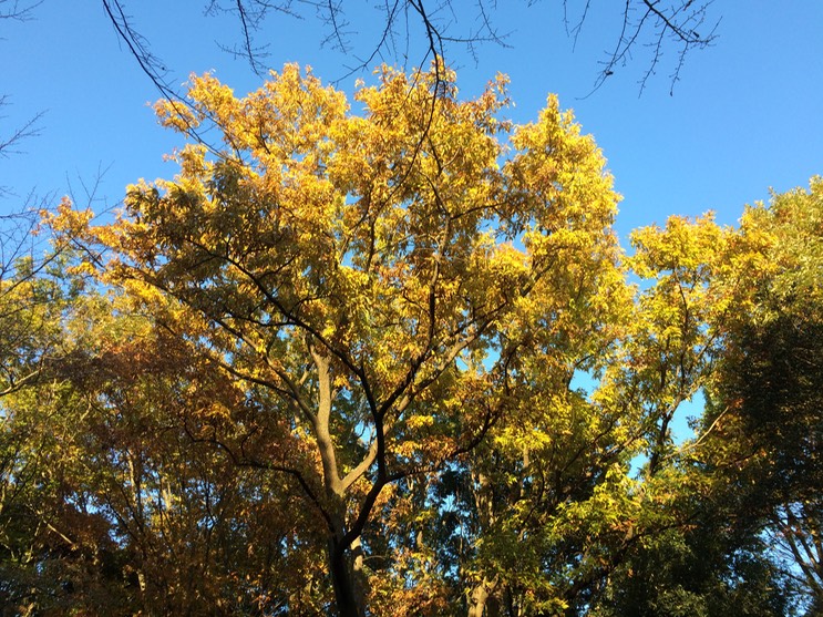 Photo 22-11-2014 15 29 13