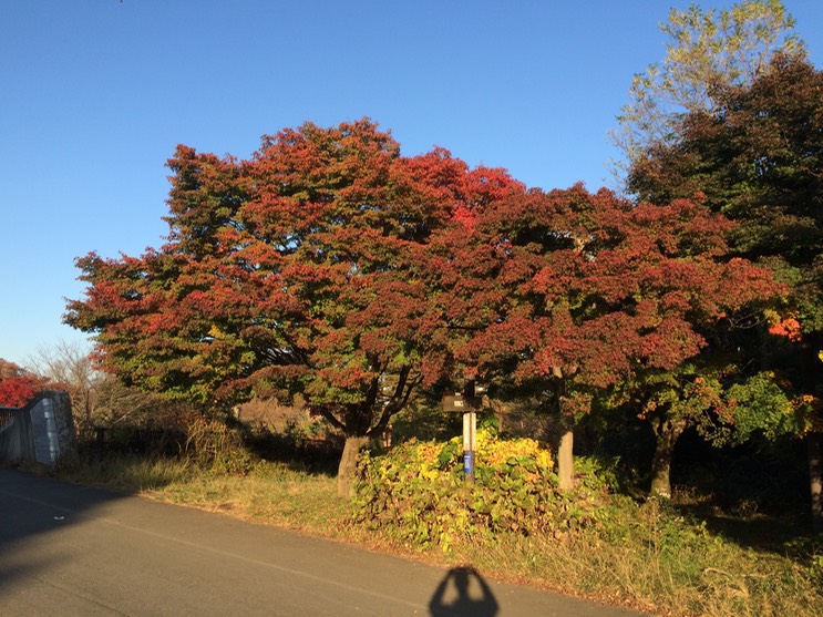 Photo 22-11-2014 15 30 32