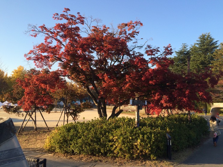 Photo 22-11-2014 15 31 15