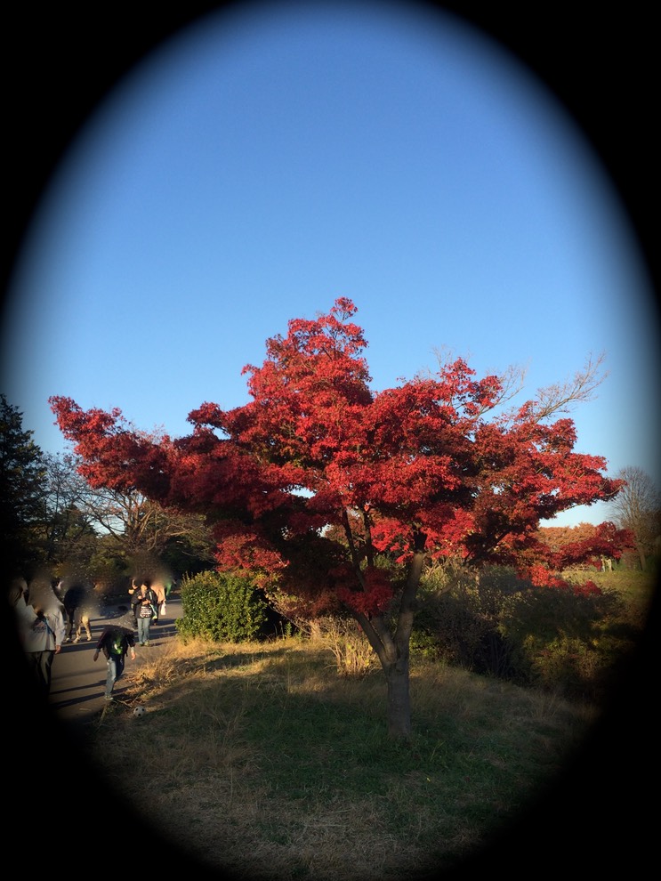 Photo 22-11-2014 15 31 32