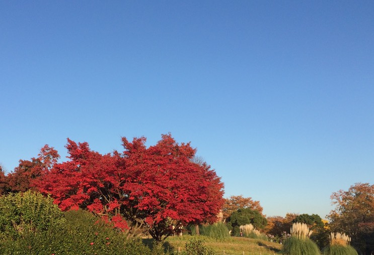 Photo 22-11-2014 15 32 10