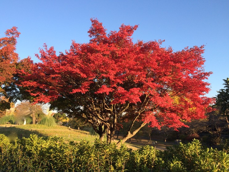 Photo 22-11-2014 15 32 22