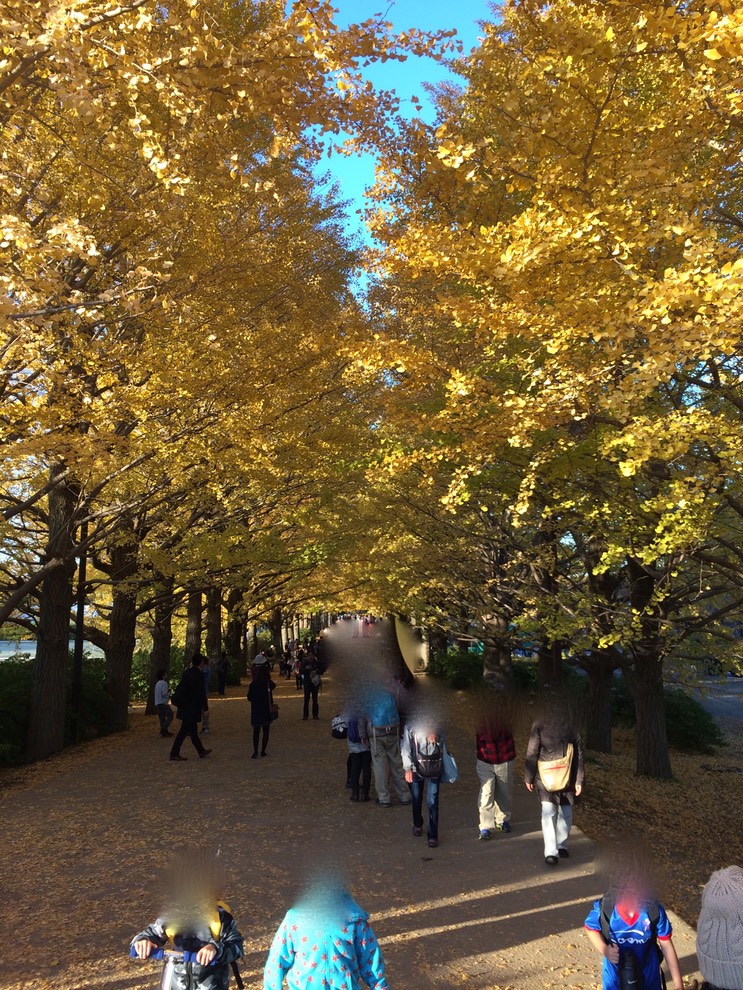 Photo 22-11-2014 15 35 18