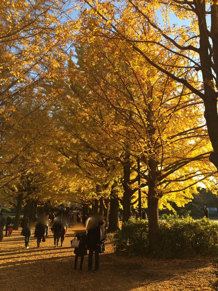 Photo 22-11-2014 15 37 00